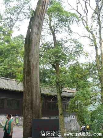 峨眉山照片 090_调整大小.jpg