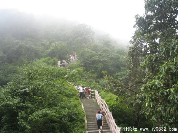 峨眉山照片 141_调整大小.jpg