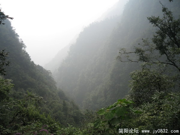 峨眉山照片 115_调整大小.jpg