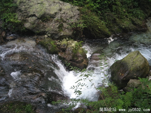 峨眉山照片 062_调整大小.jpg