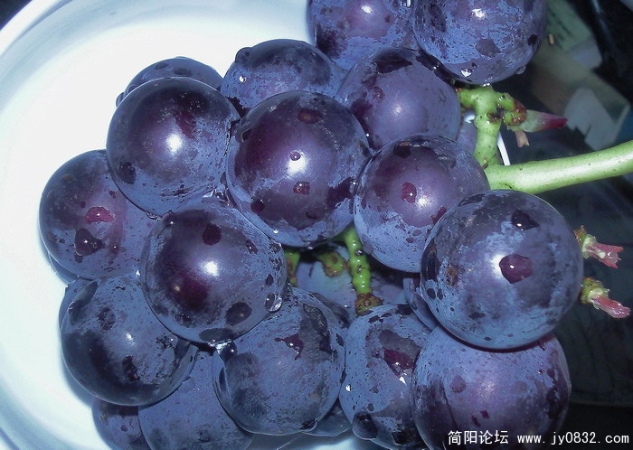 照片065.jpg