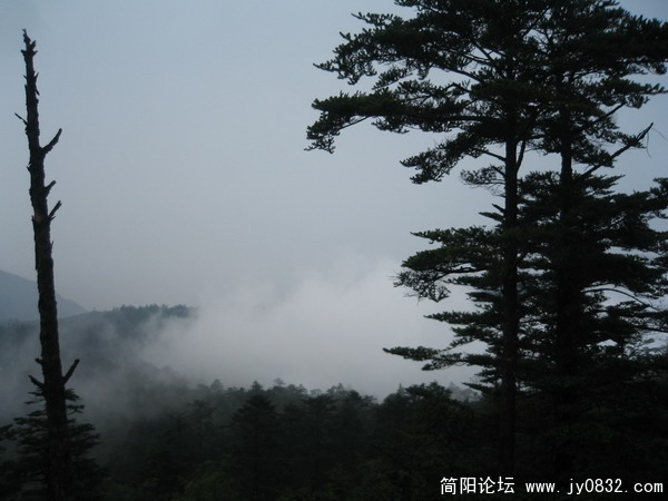 峨眉山照片 150_调整大小.jpg