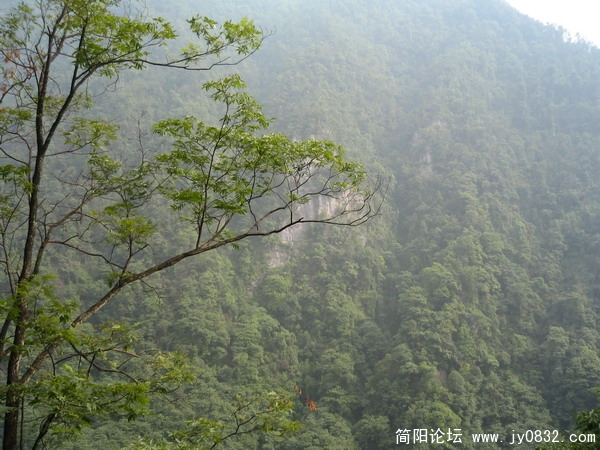 峨眉山照片 092_调整大小.jpg