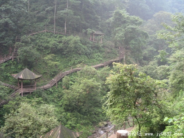 峨眉山照片 079_调整大小.jpg