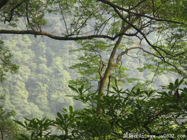 峨眉山照片 087_调整大小.jpg