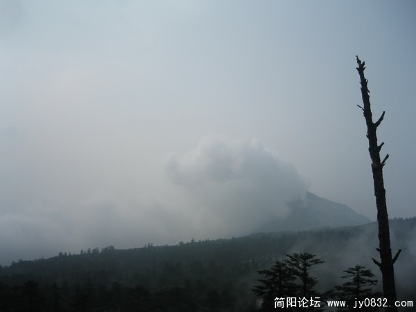 峨眉山照片 149_调整大小.jpg