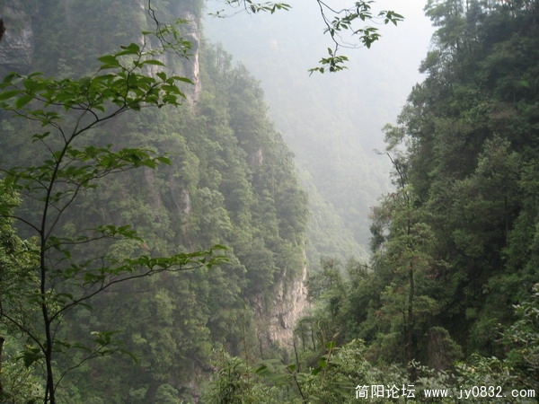 峨眉山照片 103_调整大小.jpg
