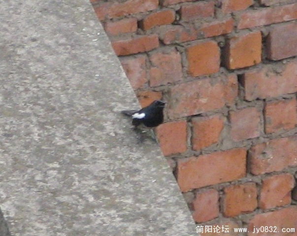 IMG_2389.jpg