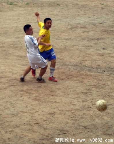 P7200011.jpg