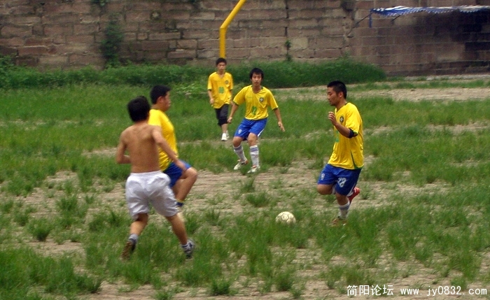 P7200029.jpg