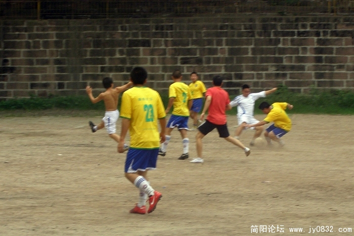 P7200007.jpg