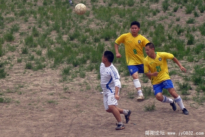 P7200013.jpg