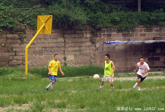P7200039.jpg