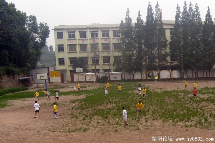 P7200012.jpg