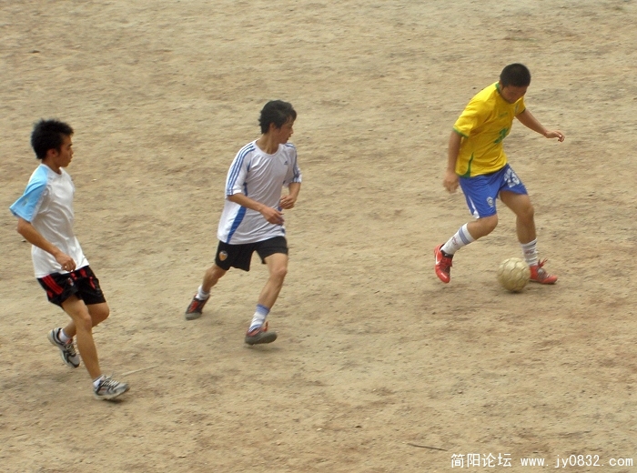 P7200025.jpg