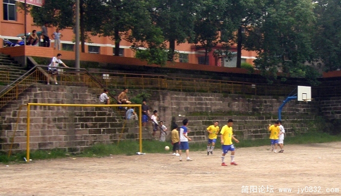 P7200006.jpg