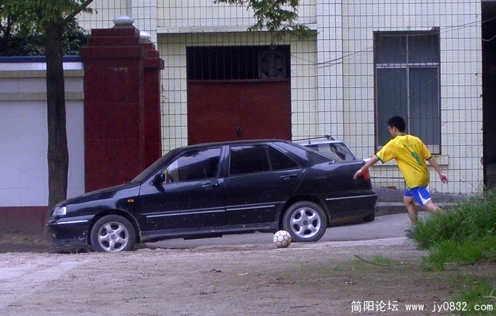 P7200049.jpg