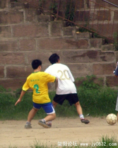 P7200035.jpg