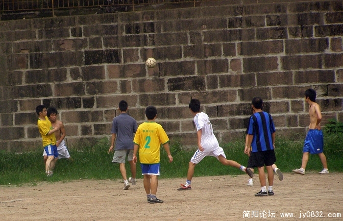 P7200037.jpg