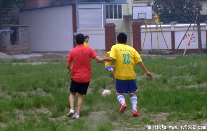 P7200008.jpg