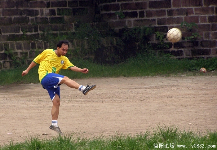 P7200045.jpg