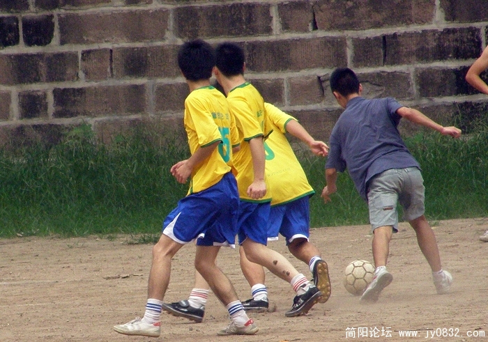 P7200036.jpg