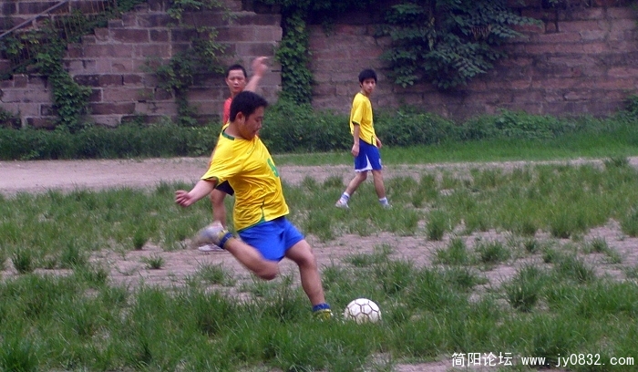 P7200047.jpg