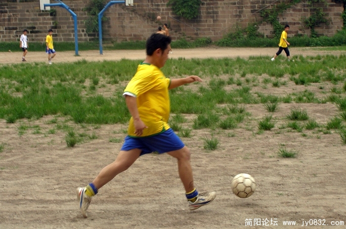 P7200044.jpg