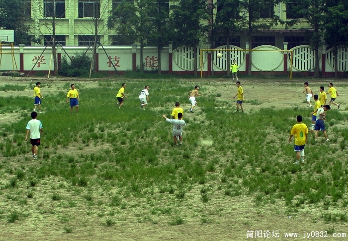 P7200015.jpg