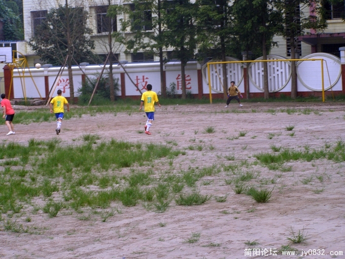 P7200038.jpg