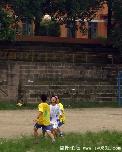 P7200042.jpg