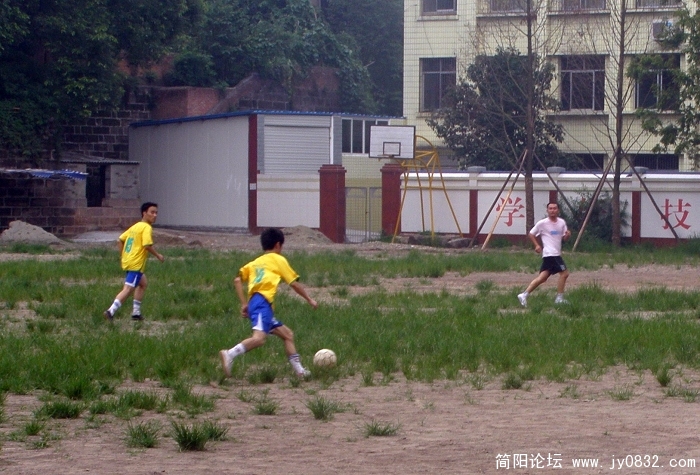 P7200054.jpg