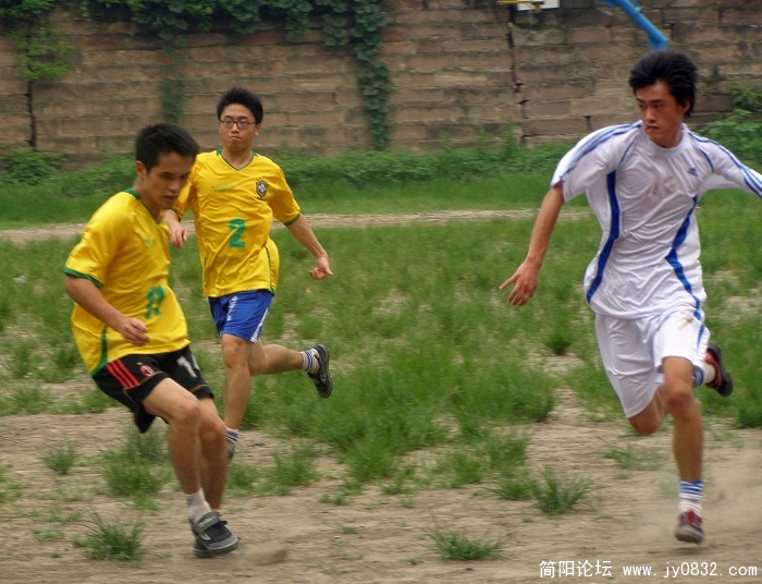 P7200040.jpg