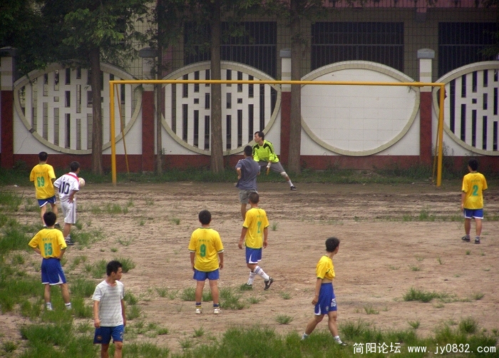 P7200019.jpg
