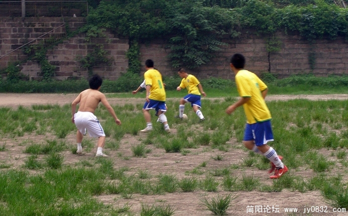 P7200005.jpg