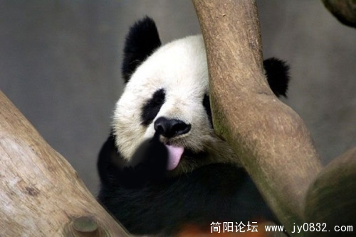挖鼻孔.jpg