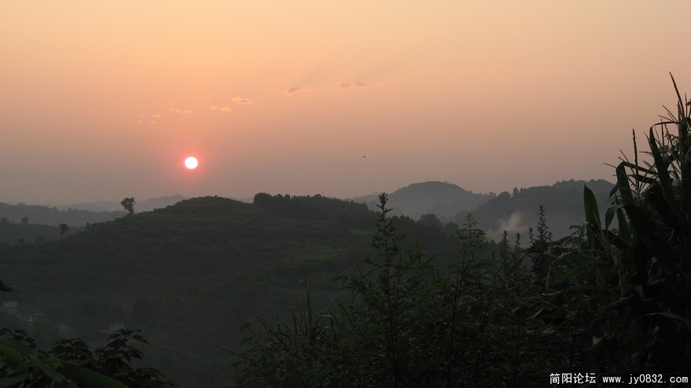 IMG_2575.jpg