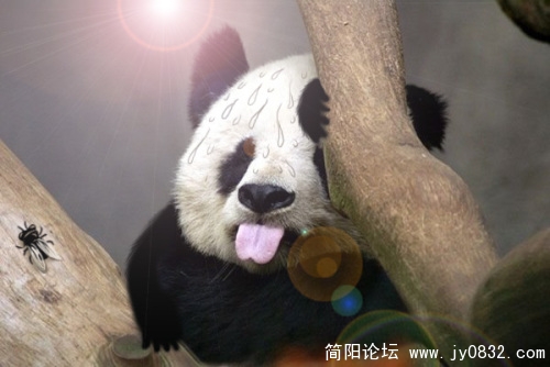 热啊！.jpg