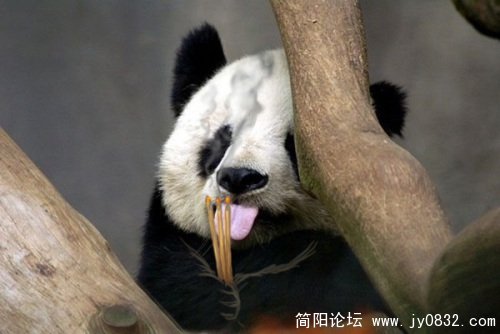 这个经典.jpg