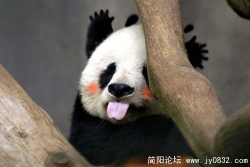 后面有东西.jpg