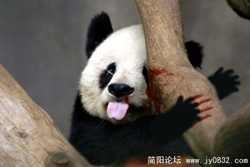 暴力~.jpg