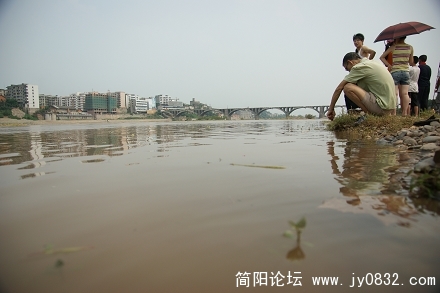 DSC02128.jpg