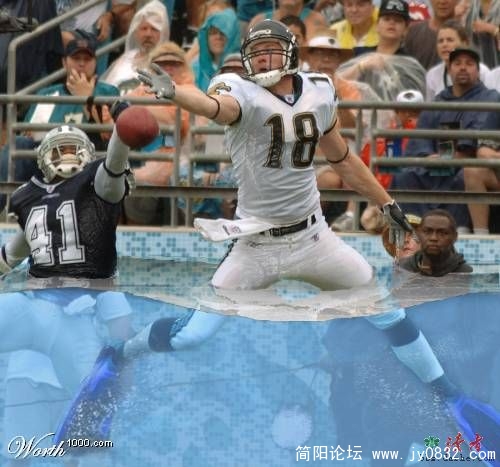 20080310_0f0cdfefcad8f5d0a72fEEnRpyn8VhE0.jpg