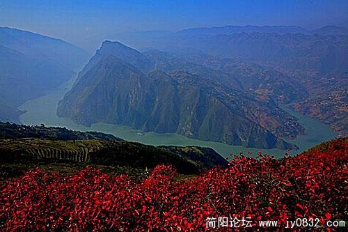 20080223160214556.jpg