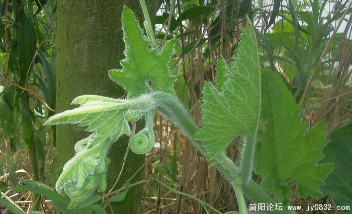 照片312.jpg