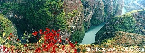 20080223160333605.jpg