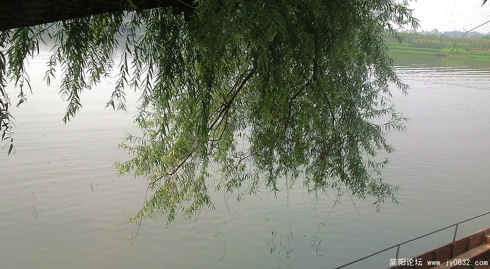 照片337.jpg