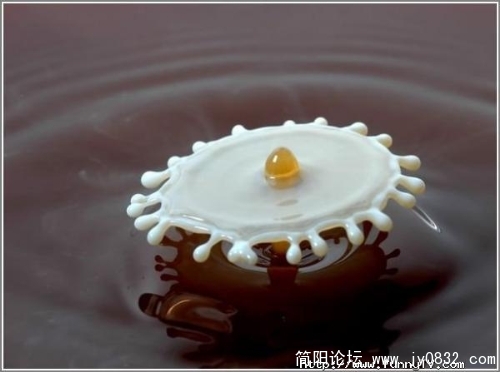 b_969DD8A71E13251EF42B667D9103CBF7.jpg