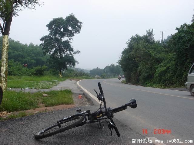 调整大小 DSC08531.jpg