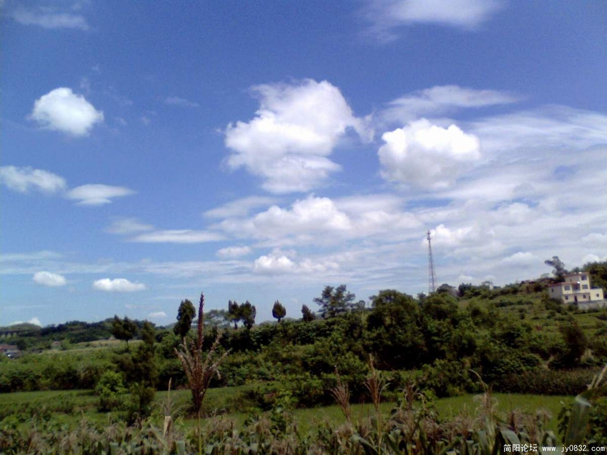 IMG0018A.jpg